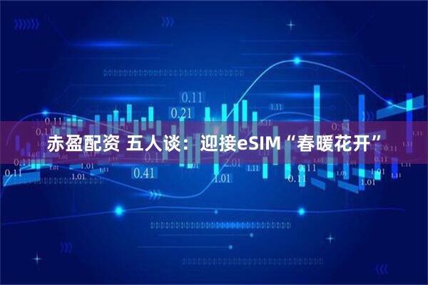 赤盈配资 五人谈：迎接eSIM“春暖花开”