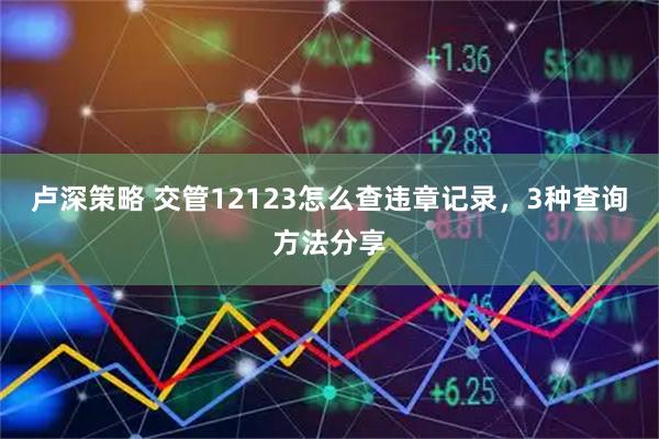 卢深策略 交管12123怎么查违章记录，3种查询方法分享