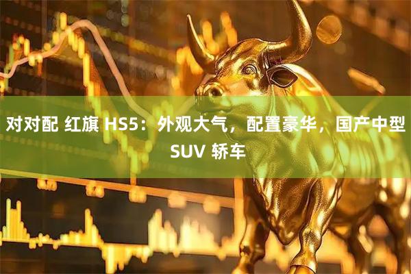 对对配 红旗 HS5：外观大气，配置豪华，国产中型 SUV 轿车