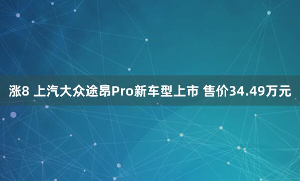 涨8 上汽大众途昂Pro新车型上市 售价34.49万元